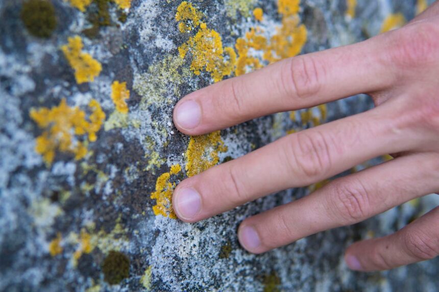 A hand touching a textured stone wall